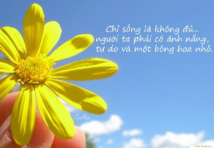 Trịnh Bảo – Chia sẻ kiến thức SEO, Web, Tình yêu & Cuộc sống